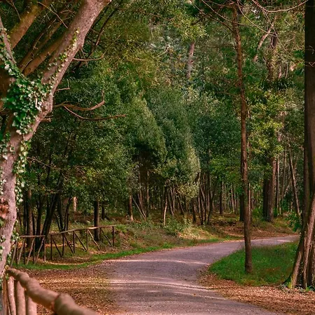 Apartment Figueira Vibes *