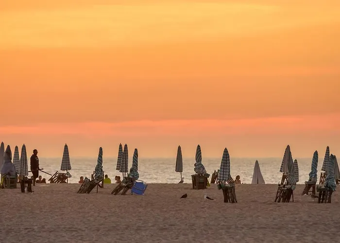 Figueira Vibes * Figueira da Foz